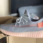 Yeezy  350 Boost V2 True Form photo review