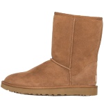 Browm ugg5800 Classic Short for Men